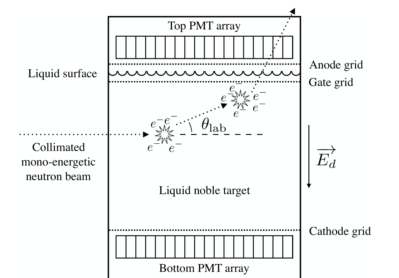 Schematic of a dual-phase time projection chamber with a collimated mono-energetic neutron beam scattering twice in the liquid target, defining a scattering angle